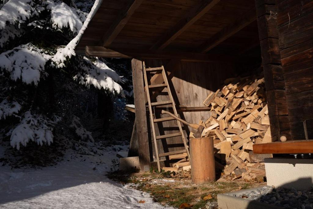 Gregor'S Ferienhaus Im Wald Edelschrott Kültér fotó
