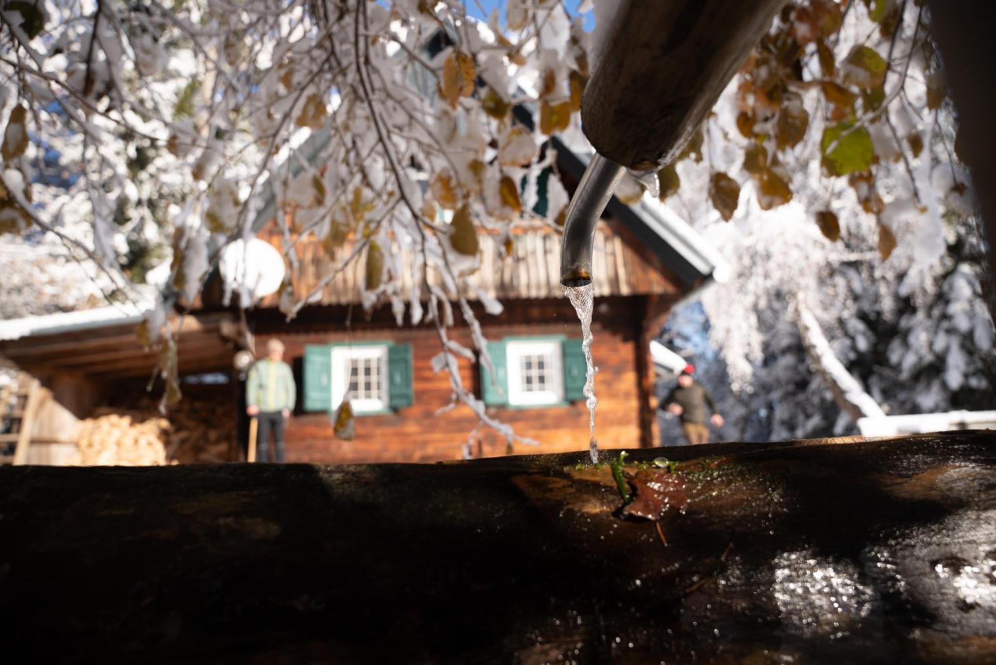 Gregor'S Ferienhaus Im Wald Edelschrott Kültér fotó