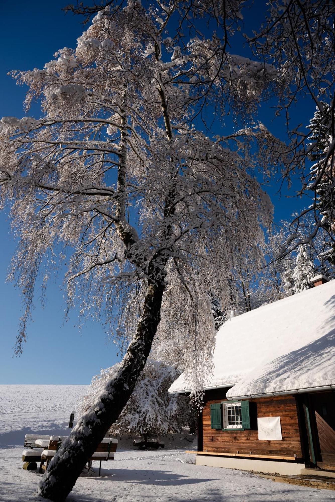 Gregor'S Ferienhaus Im Wald Edelschrott Kültér fotó
