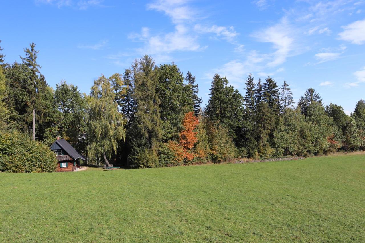 Gregor'S Ferienhaus Im Wald Edelschrott Kültér fotó